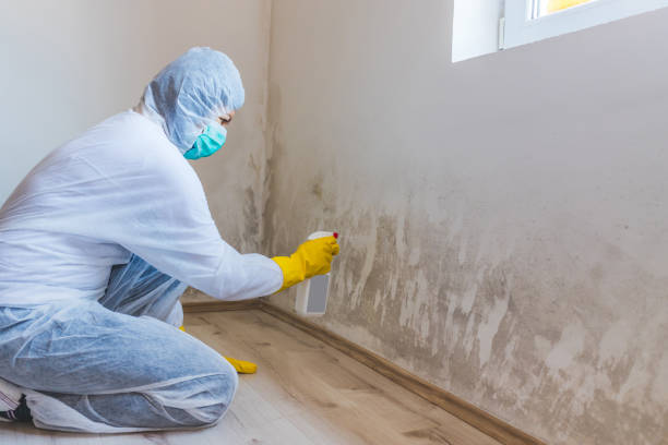 Mold Remediation specialist working in Rocky Hill