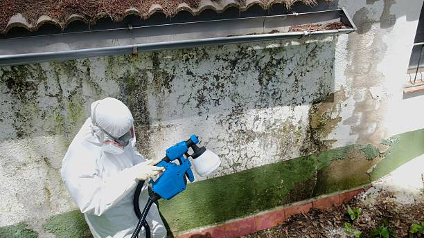 Mold Remediation service in Rocky Hill, Rocky Hill, NJ